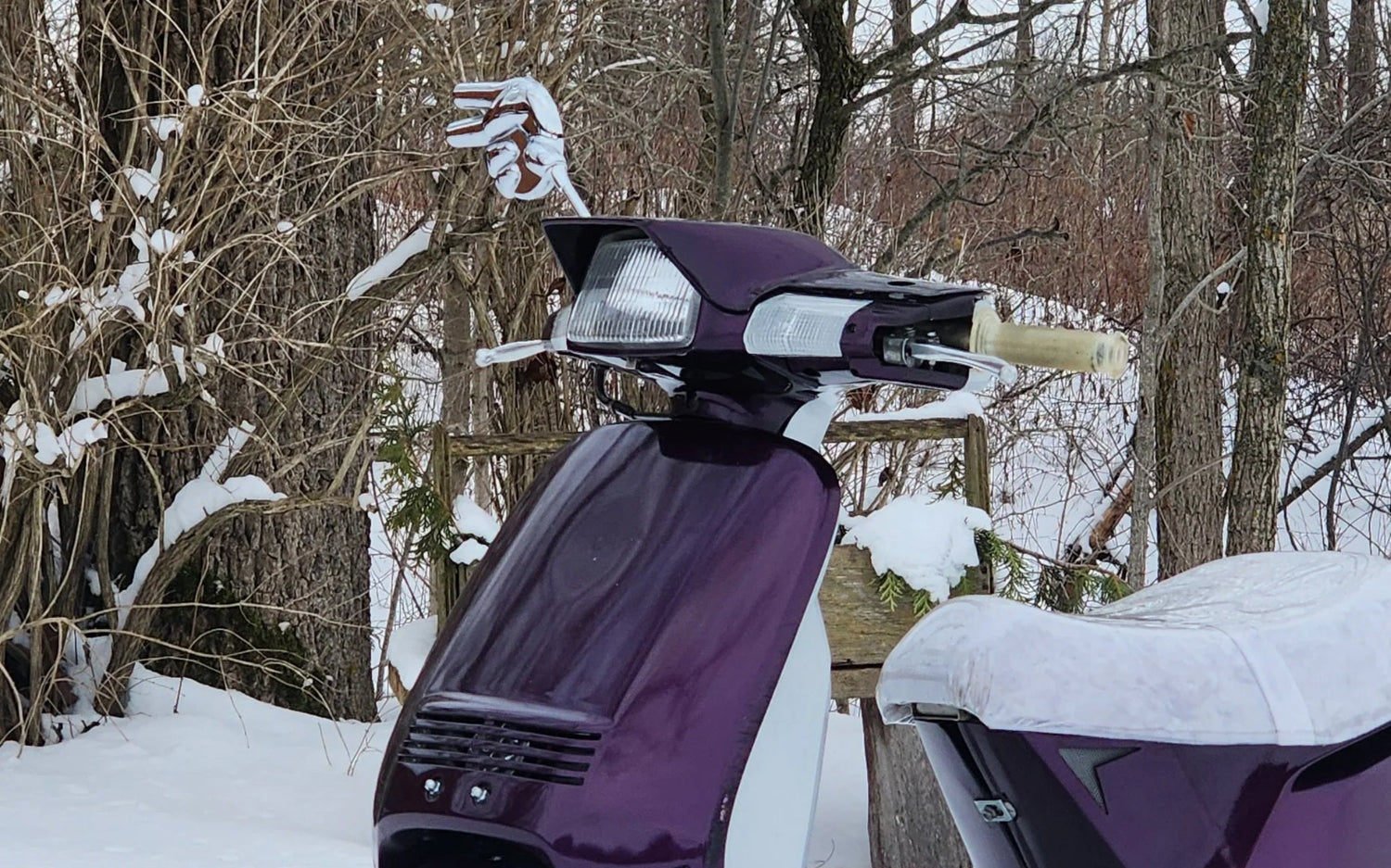 Clear Lenses Collection 