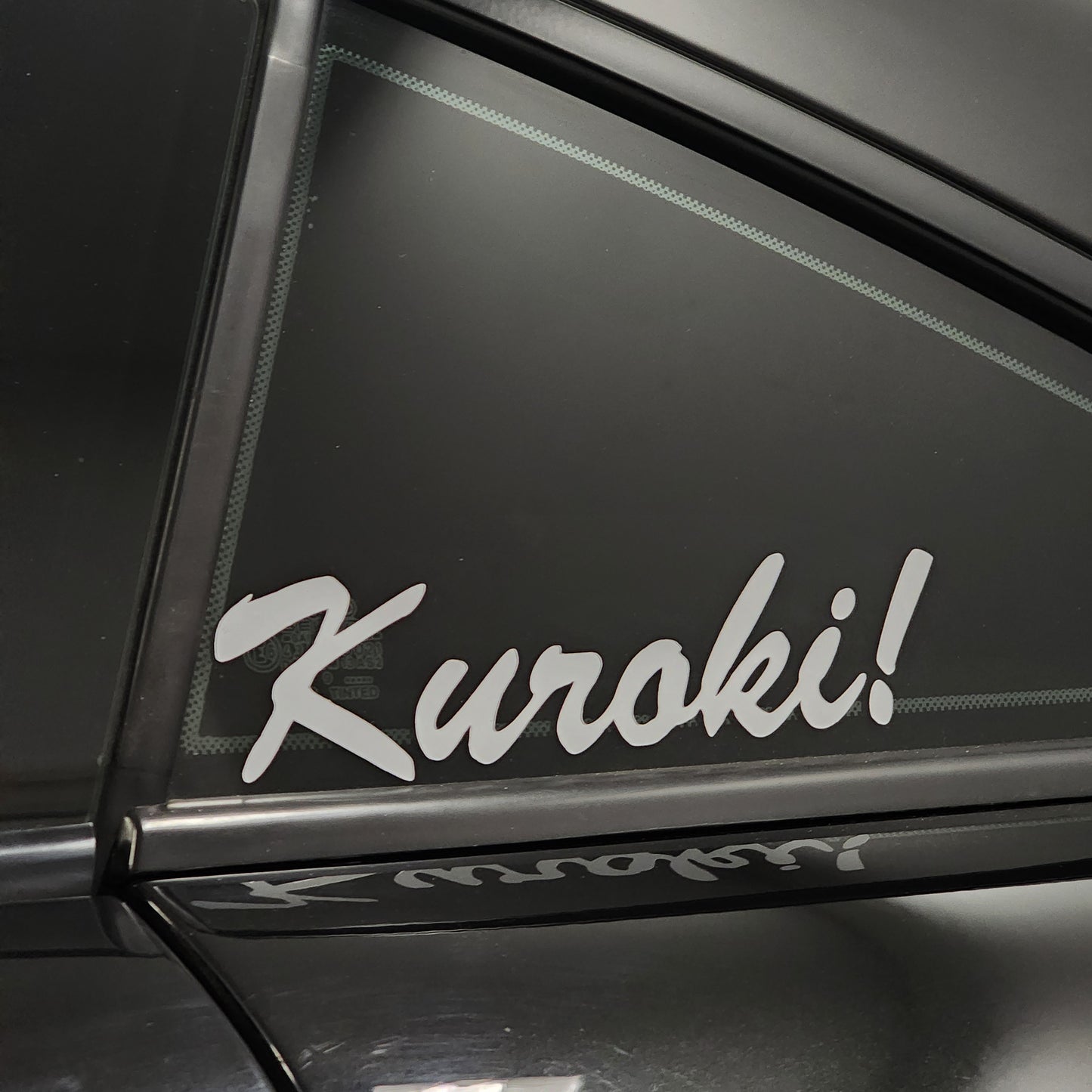 BrushStroke XL Sunglasses 