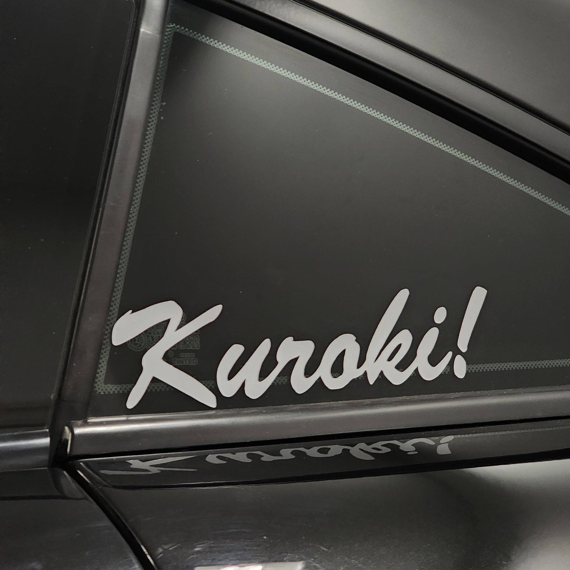 BrushStroke XL Sunglasses 