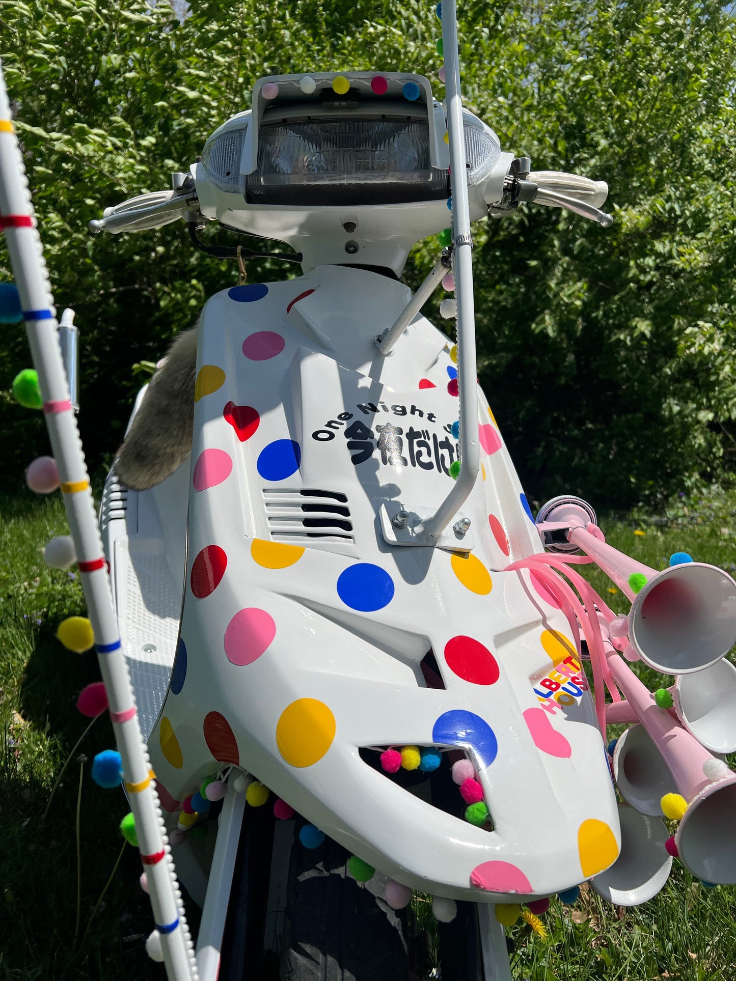 AF12 / AF19 DJ1 Clear Turn Lens