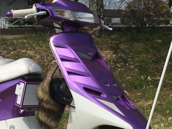 Cut aggressive vents into the front panel. The Dio’s sporty front responds well to heavy venting.