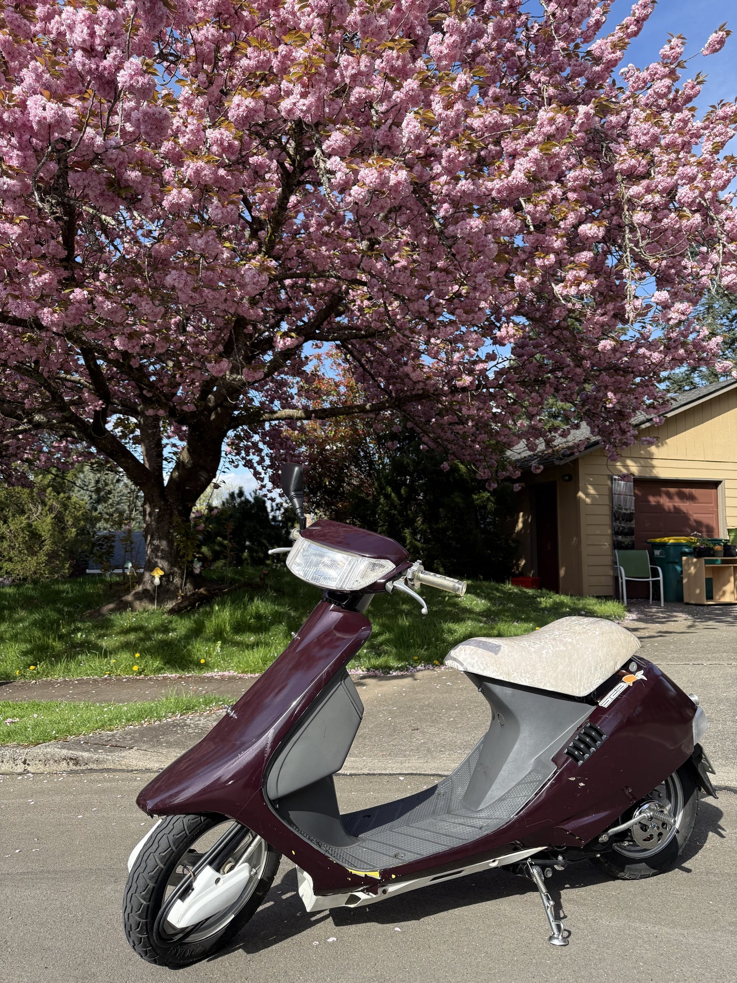 AF12 / AF19 DJ1 Clear Turn Lens