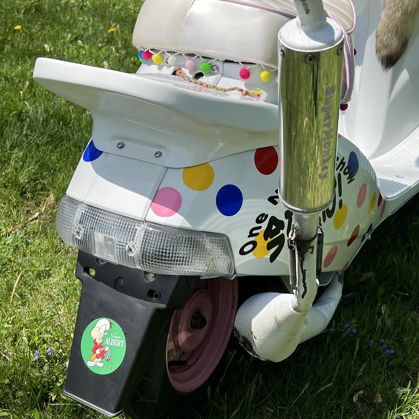 Dj1 Tail LIght Clear